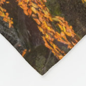 Couverture Polaire Parc national de Blackwater Falls (Coin)