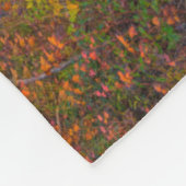 Couverture Polaire Parc national de Blackwater Falls | Virginie occid (Coin)