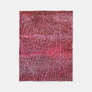 Couverture Polaire Parc national de la vallée de la Mort