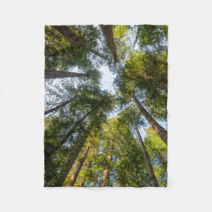 Couverture Polaire Parcs national et d'État de Redwood, Californie