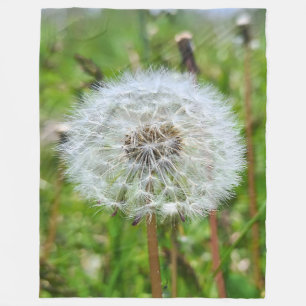 Couverture Polaire Parfaite dent-de-lion – Photographie botanique mac