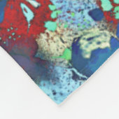 Couverture Polaire Parti Lichen (Coin)