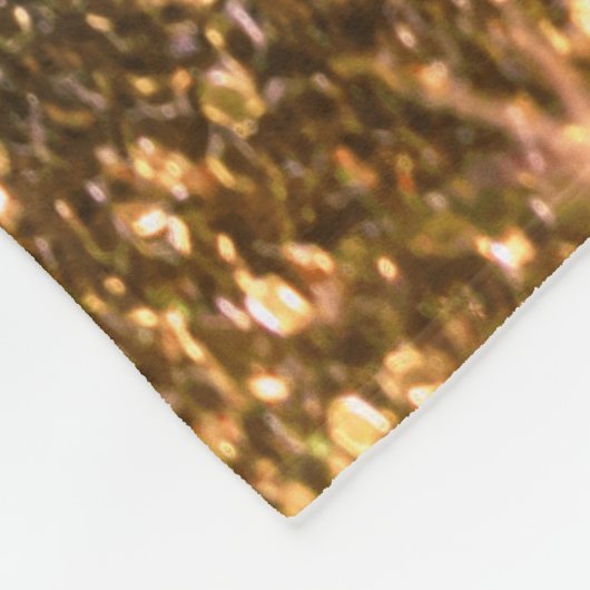 Couverture Polaire Parties scintillant colorée (Coin)