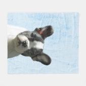 Couverture Polaire Pastel Blue Peekaboo Boston Terrier Puppy Nursery (Devant (Horizontal))
