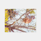 Couverture Polaire Patas est au sommet d'un arbre (Devant (Horizontal))