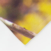 Couverture Polaire Patas est au sommet d'un arbre (Coin)