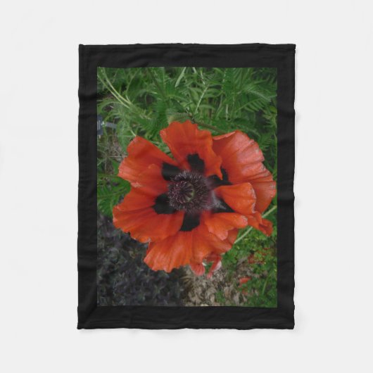Couverture Polaire Pavot oriental (Devant)