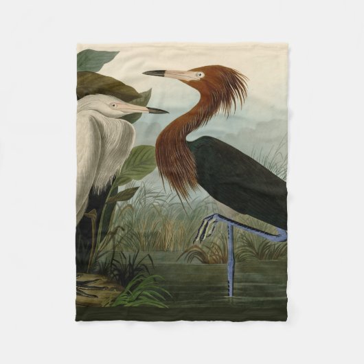 Couverture Polaire Peinture de la faune d'Audubon Heron violet (Devant)