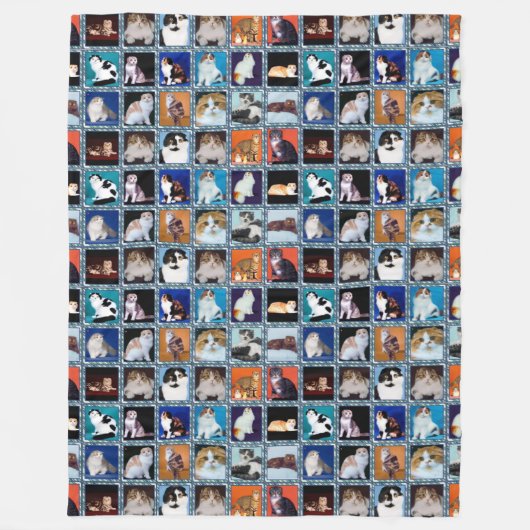 Couverture Polaire peinture murale scottish fold (Devant)