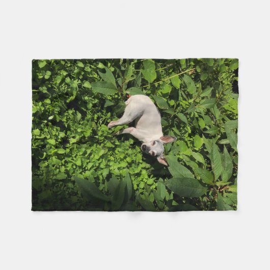 Couverture Polaire perle nymphe jardin (Devant (Horizontal))