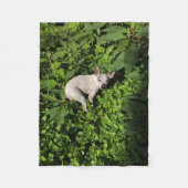 Couverture Polaire perle nymphe jardin (Devant)