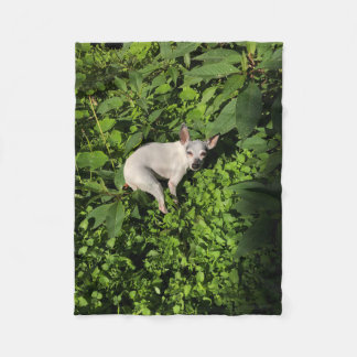 Couverture Polaire perle nymphe jardin