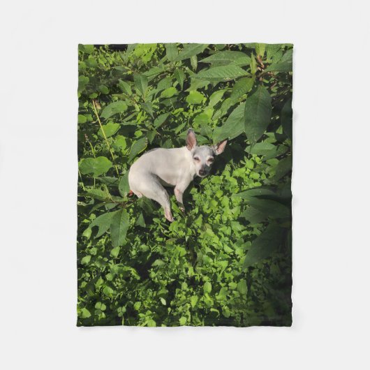 Couverture Polaire perle nymphe jardin (Devant)