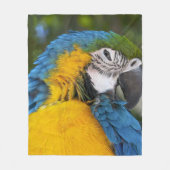 Couverture Polaire Perroquet Bleu Et Or (Devant)