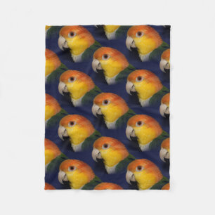 Couverture Polaire Perroquet coloré de caïque