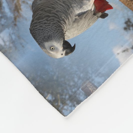 Couverture Polaire Perroquet renversant de gris africain (Coin)