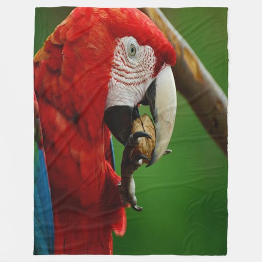 Couverture Polaire Perroquet rouge tropical (Devant)