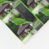 Couverture Polaire Perrot de purée à tête cendrée (Coin)