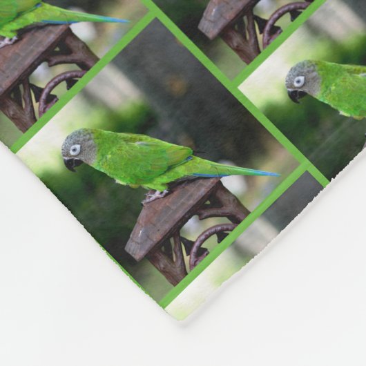 Couverture Polaire Perrot de purée à tête cendrée (Coin)