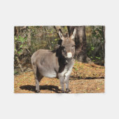 Couverture Polaire Petit âne (Devant (Horizontal))