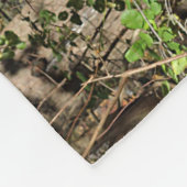 Couverture Polaire Petit âne (Coin)