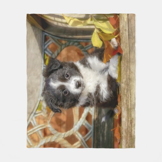 Couverture Polaire Petit Chien Chien Chien Mignonne Mini Aussie Chien (Devant)