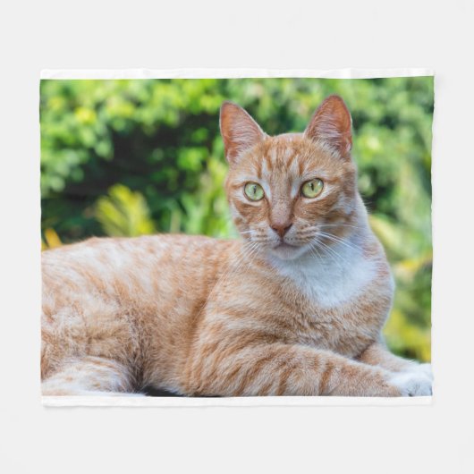 Couverture Polaire Petit chou doux (Devant (Horizontal))