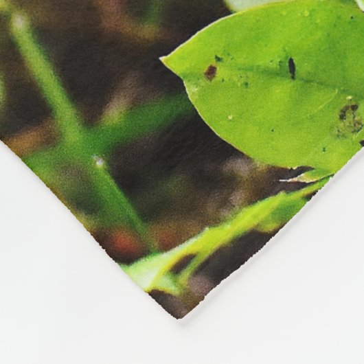 Couverture Polaire Petit hérisson mignon dans la forêt (Coin)