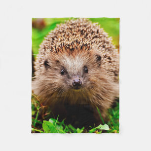 Couverture Polaire Petit hérisson mignon dans la forêt