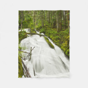 Couverture Polaire Petites chutes de Zig Zag Forêt nationale du Mon