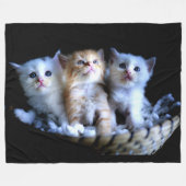 COUVERTURE POLAIRE PETITES CUISINES (Devant (Horizontal))