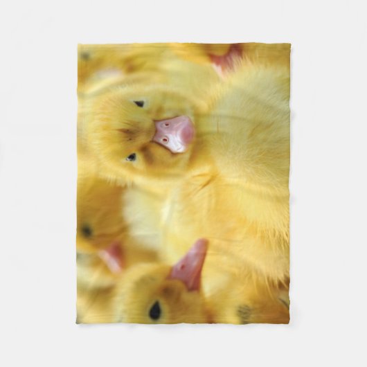 Couverture Polaire Petits canards (Devant)