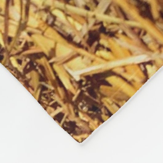 COUVERTURE POLAIRE PETITS PIGLETS DORMIERS (Coin)