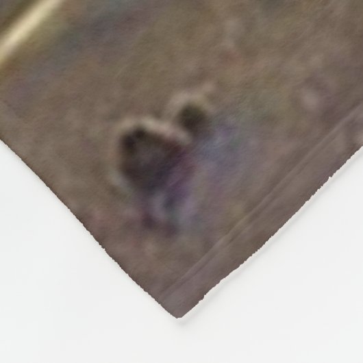 COUVERTURE POLAIRE PHARE (Coin)