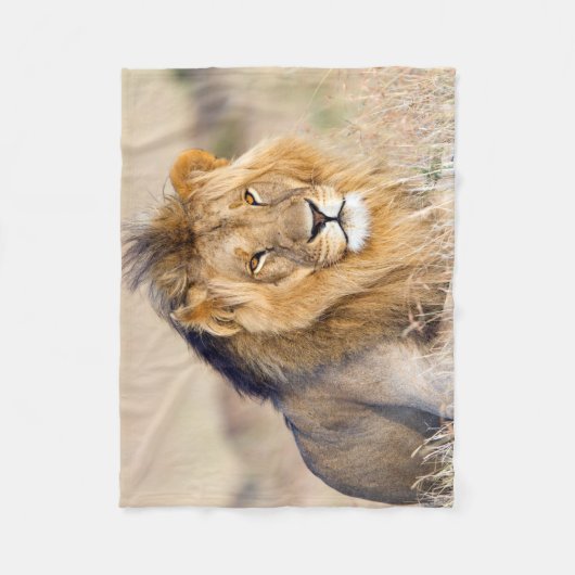 Couverture Polaire Photo de lion majestueuse (Devant)