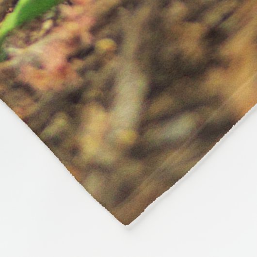 Couverture Polaire Photo de Robin d'Américain (Coin)