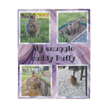 Photo d'un lapin de compagnie blotti sur une couve