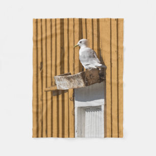 Couverture Polaire Photo Seagull Bird