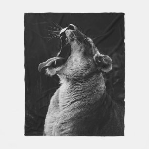 COUVERTURE POLAIRE PHOTOGRAPHIE À GRANDE ÉCHELLE DE LA LIONTÉ JEUN