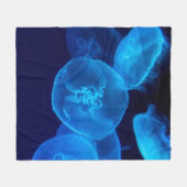 COUVERTURE POLAIRE PHOTOGRAPHIE DE CLOSEUP DE SWARM DE JELLYFISH (Devant (Horizontal))
