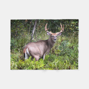 Couverture Polaire Photographie de Whitetail Buck
