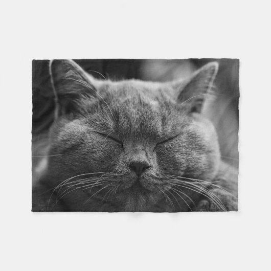 Couverture Polaire Photographie du visage de chat endormi (Devant (Horizontal))