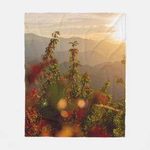 COUVERTURE POLAIRE PHOTOGRAPHIE NATURELLE DES ARBRES VERTS SURPLOMBAN
