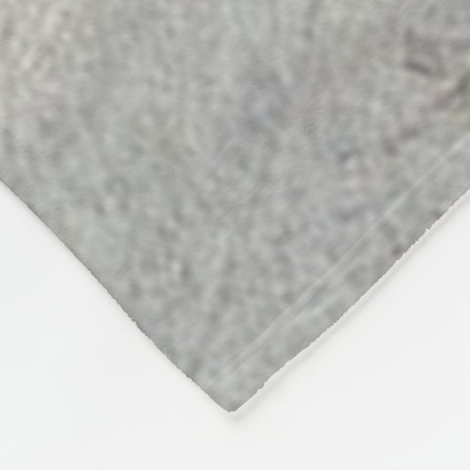 Couverture Polaire Picardy Spaniel, Saison Chasse (Coin)