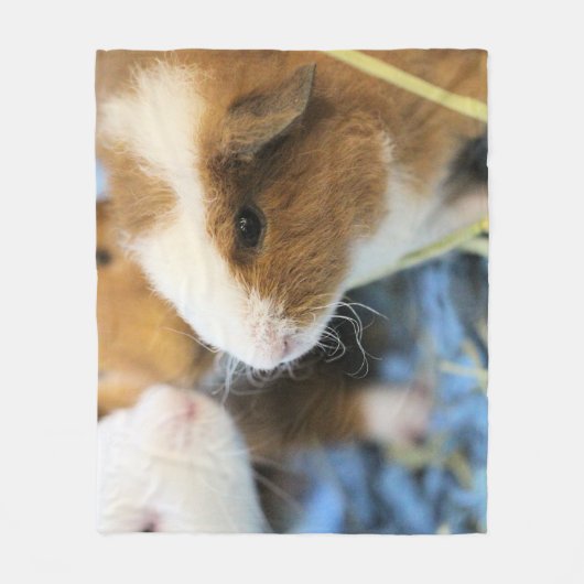 Couverture Polaire Piggy (Devant)