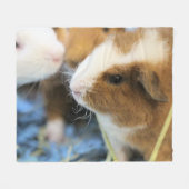 Couverture Polaire Piggy (Devant (Horizontal))