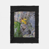 Couverture Polaire pika (Devant)