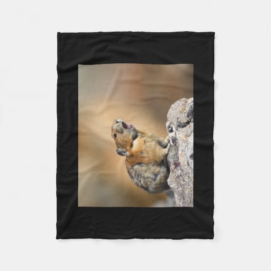 Couverture Polaire Pika (Devant)