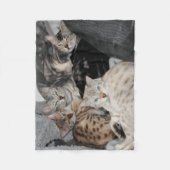 Couverture Polaire Pile de Kitty de chat du Bengale (Devant)