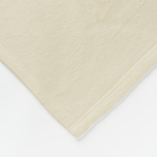 Couverture Polaire Pittsburgh, PA | Vue oeil d'oiseau (Coin)